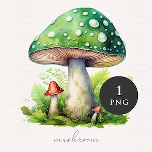 Champignon clipart PNG Aquarelle Champignons verts Forêt magique Fantasy Toadstools illustration graphiques Sublimation Transfert PNGs Conte de fées