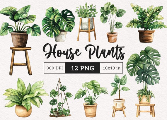 Potted Plants Clipart indoor house plants PNG Clipart gardening aesthetic Whimsy boho plants in a pot Botanical Paper Crafting Card making