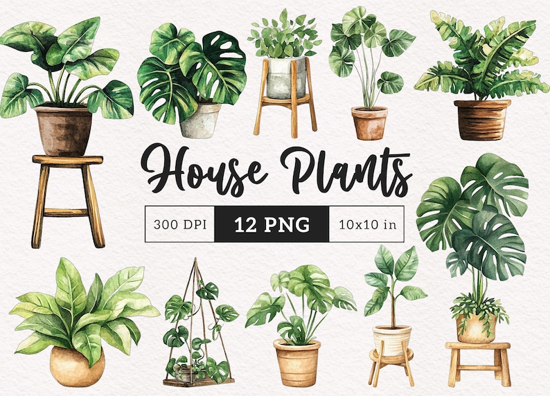 May include: A set of 12 watercolor illustrations of house plants in pots. The plants are in various styles, including monstera, ferns, and succulents. The illustrations are in a realistic style and are perfect for use in digital or printed projects.