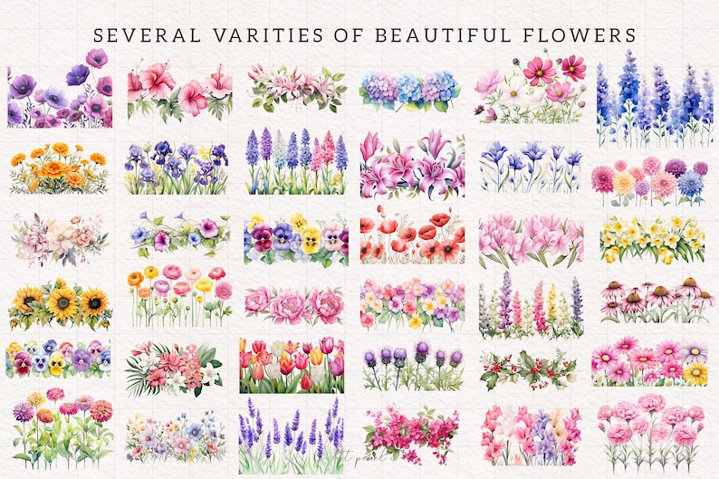 May include: A collection of watercolor illustrations of various flowers, including sunflowers, lilies, hydrangeas, and daisies. The flowers are arranged in rows and are painted in a variety of colors, including yellow, pink, blue, and purple.