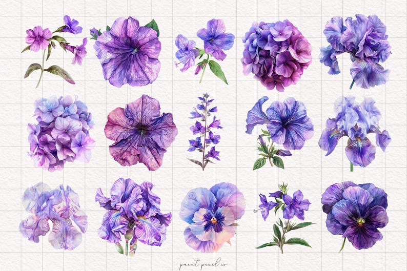 May include: A collection of watercolor illustrations of purple flowers, including hydrangeas, petunias, irises, and pansies. The flowers are painted in a realistic style with delicate details.