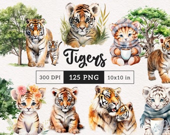 Tiger clipart PNG Bundle Watercolor Safari Animal Sublimation transfer baby tigers clip art cute cub graphics illustration jungle animals