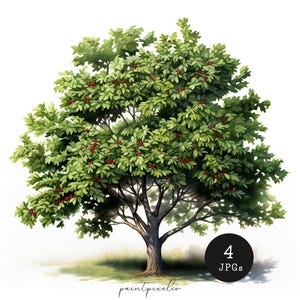 May include: A lush green tree with red berries, painted in a realistic style. The tree has a thick trunk and branches that spread out in all directions. The leaves are a deep green, and the berries are a bright red. The tree is set against a white background.