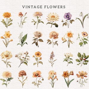 Op de afbeelding: Een verzameling van 24 vintage bloemenillustraties in aquarelstijl. De bloemen zijn gerangschikt in rijen en omvatten een verscheidenheid aan kleuren, waaronder geel, oranje, roze, wit en paars.