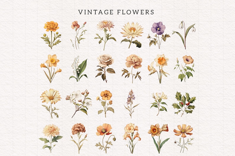 Op de afbeelding: Een verzameling van 24 vintage bloemenillustraties in aquarelstijl. De bloemen zijn gerangschikt in rijen en omvatten een verscheidenheid aan kleuren, waaronder geel, oranje, roze, wit en paars.
