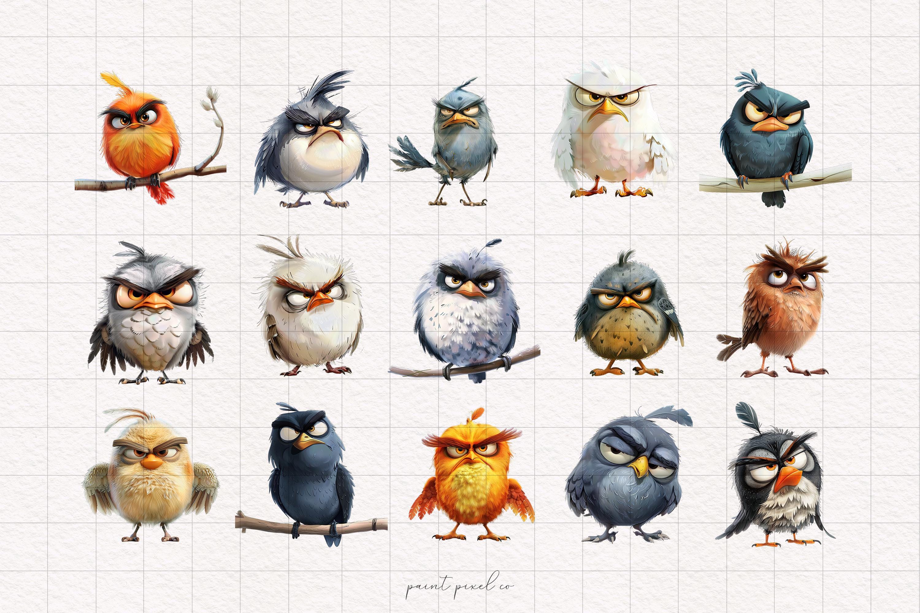 Grumpy Birds Clipart Funny Birds PNG Birds on a Wire Illustrations ...