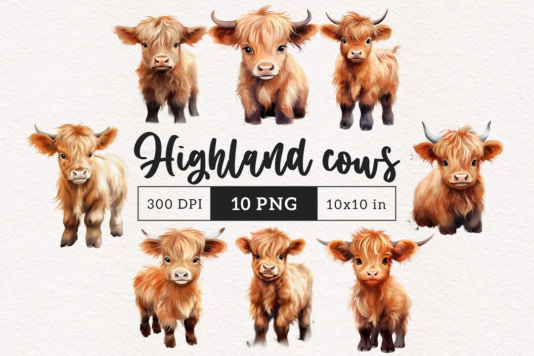 Highland Baby Cow PNG Clipart Western Farm Animals Clip Art Cute Cows ...