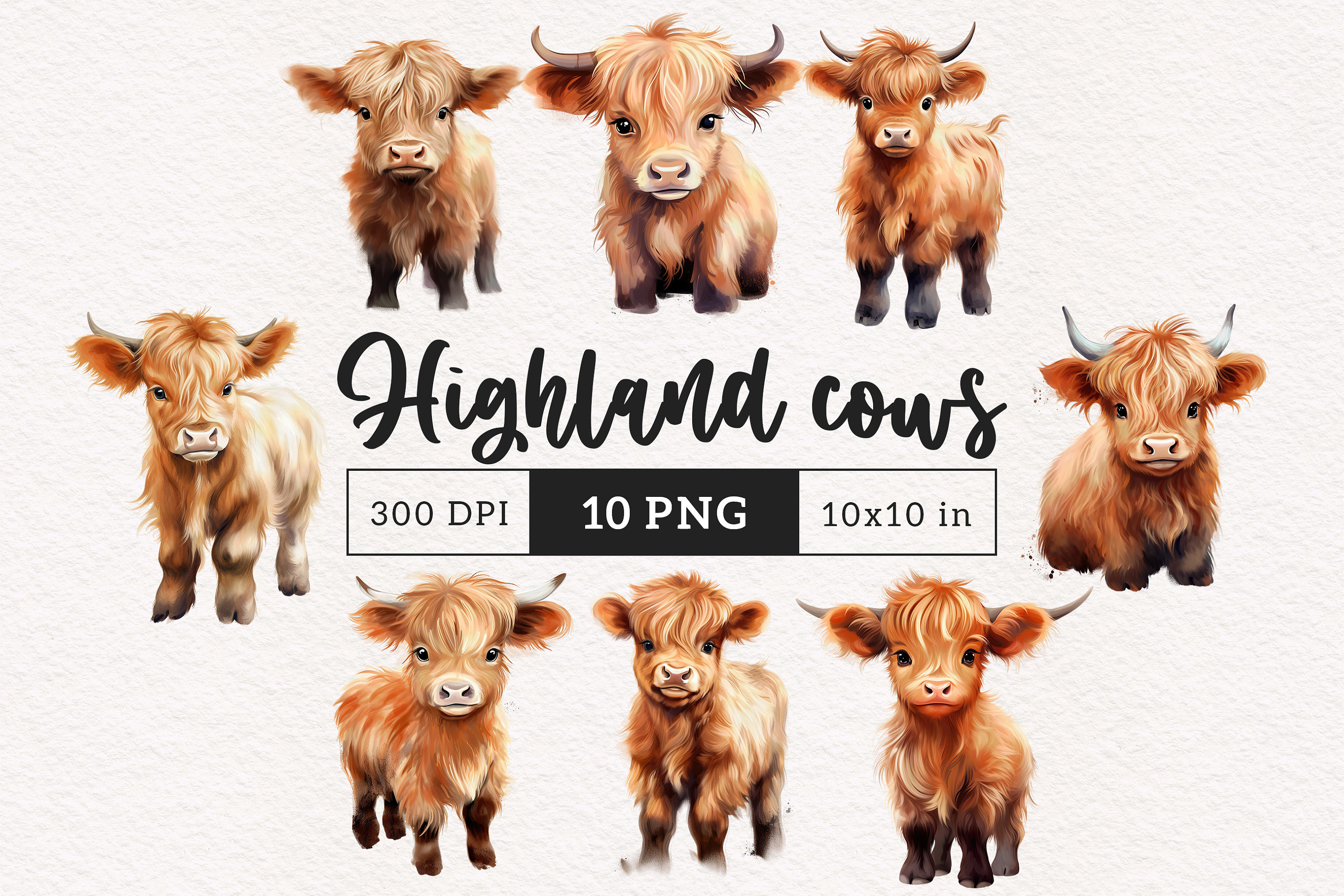 Highland Baby Cow PNG Clipart Western Farm Animals Clip Art Cute Cows ...