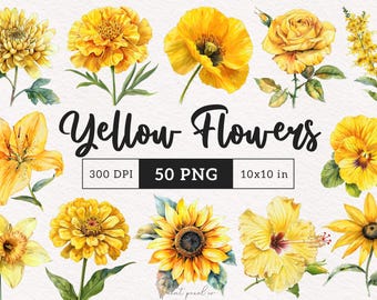 Yellow Floral Clipart Watercolor Yellow Flowers PNG Botanical Summer Blooms Minimalist graphics Wedding Flowers Card making Scrapbooking