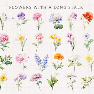 Op de afbeelding: Een verzameling van 20 aquarel illustraties van bloemen met lange stelen. De bloemen zijn in verschillende kleuren, waaronder roze, geel, blauw, rood, wit en paars.