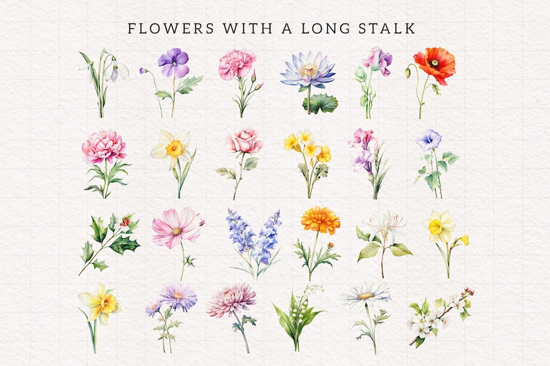 Op de afbeelding: Een verzameling van 20 aquarel illustraties van bloemen met lange stelen. De bloemen zijn in verschillende kleuren, waaronder roze, geel, blauw, rood, wit en paars.