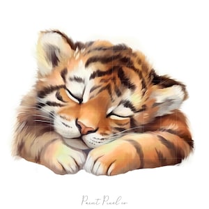 8 眠っているトラのクリップアート 高品質 JPG 水彩 赤ちゃん動物のクリップアート JPG 昇華 ジャンクジャーナル ペーパークラフト 商用ライセンス