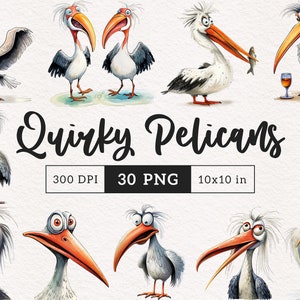 Lustige Pelikan Clipart Schrullig Vögel PNG Sommer Strand Vögel Wunderliche Grafiken Pelikan Sublimation Lustige Dumme Wader Küstenvogel Illustration