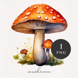Champignons clipart PNG aquarelle orange champignons forêt magique fantastique champignon vénéneux illustration graphiques transfert par sublimation PNGs conte de fées