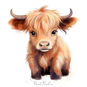 10 Baby Highland cow with flowers Clipart High Quality JPGs Calf clip art Sublimation Junk Journal Paper crafting Commercial License