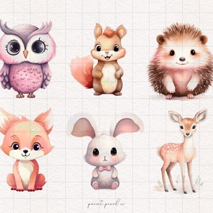 6 animaux mignons PNG aquarelle fantaisie animaux des bois sublimation sublimation animaux roses mignons illustration graphique Boho DTF hibou renard