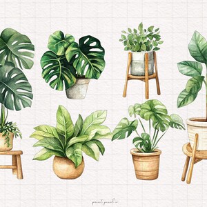 May include: A set of six watercolor illustrations of potted plants. The plants are on wooden stands and include a monstera, a fern, a succulent, and a palm tree.