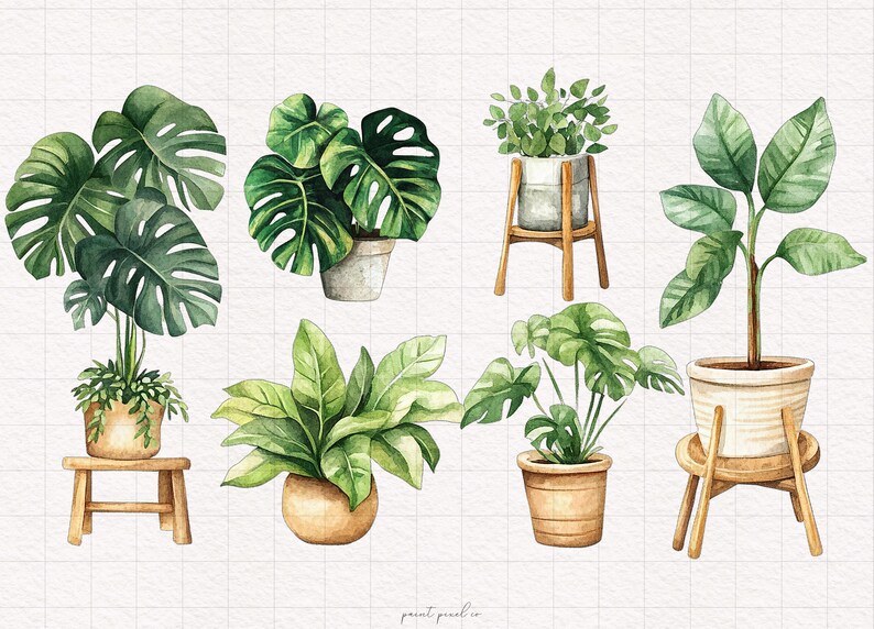 May include: A set of six watercolor illustrations of potted plants. The plants are on wooden stands and include a monstera, a fern, a succulent, and a palm tree.