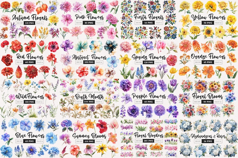 May include: A collection of watercolor flower illustrations, featuring a variety of colors and styles. The illustrations are grouped by color, season, and theme, such as "Autumn Florals", "Spring Flowers", and "Floral Borders".