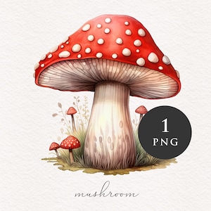 Clipart champignon PNG aquarelle champignons rouges forêt magique fantastique champignon vénéneux illustration graphiques transfert par sublimation PNGs conte de fées