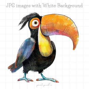 11 cliparts JPG originaux d'oiseaux de la forêt tropicale, clipart lunatique d'illustration de toucan idiot d'ara de carte faisant usage commercial de techniques mixtes JPG