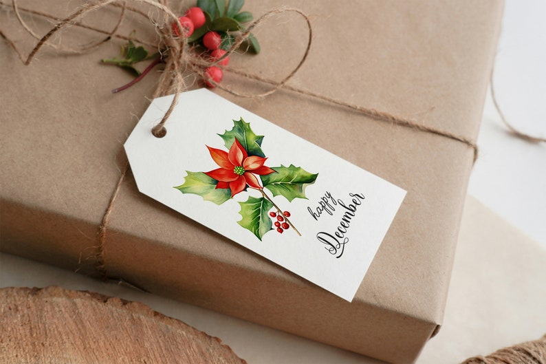 Op de afbeelding: Een wit cadeau-etiket met een aquarel-illustratie van een rode kerstster met groene bladeren en rode bessen. De tekst "fijne december" staat in zwarte cursieve letters op het etiket.