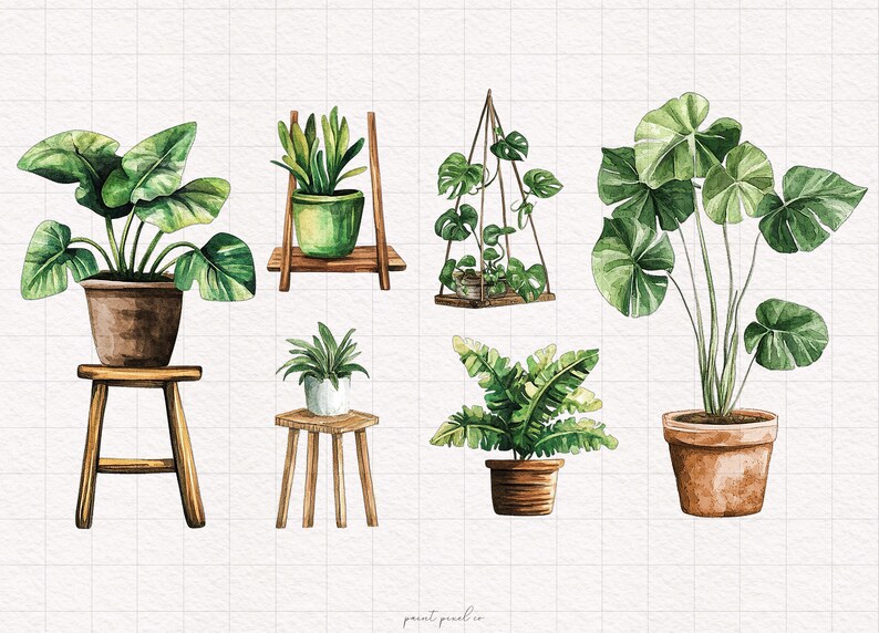 May include: A watercolor illustration of six different potted plants. The plants are in various styles of pots and are on wooden stands. The plants are all green and have different leaf shapes.