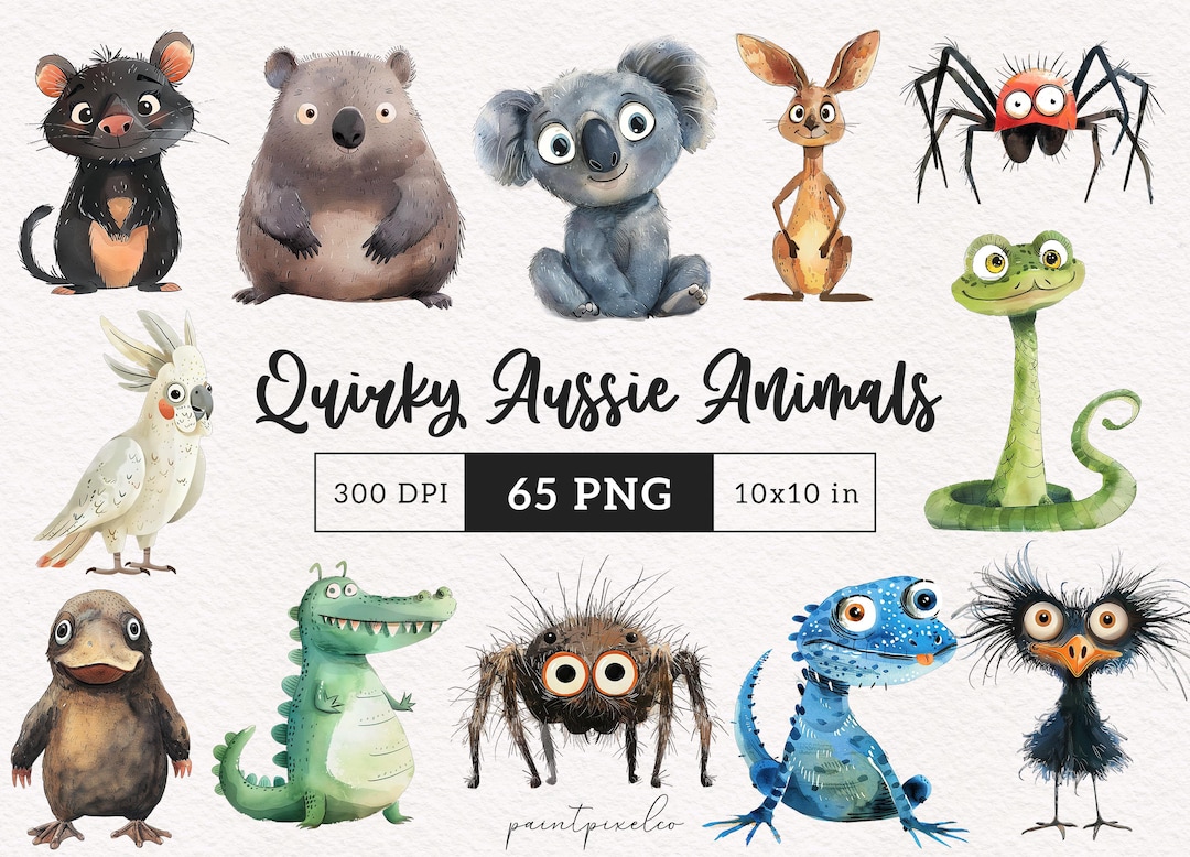 65 Quirky Australian Animals Clipart Koala Emu Kangaroo Dingo Platypus ...