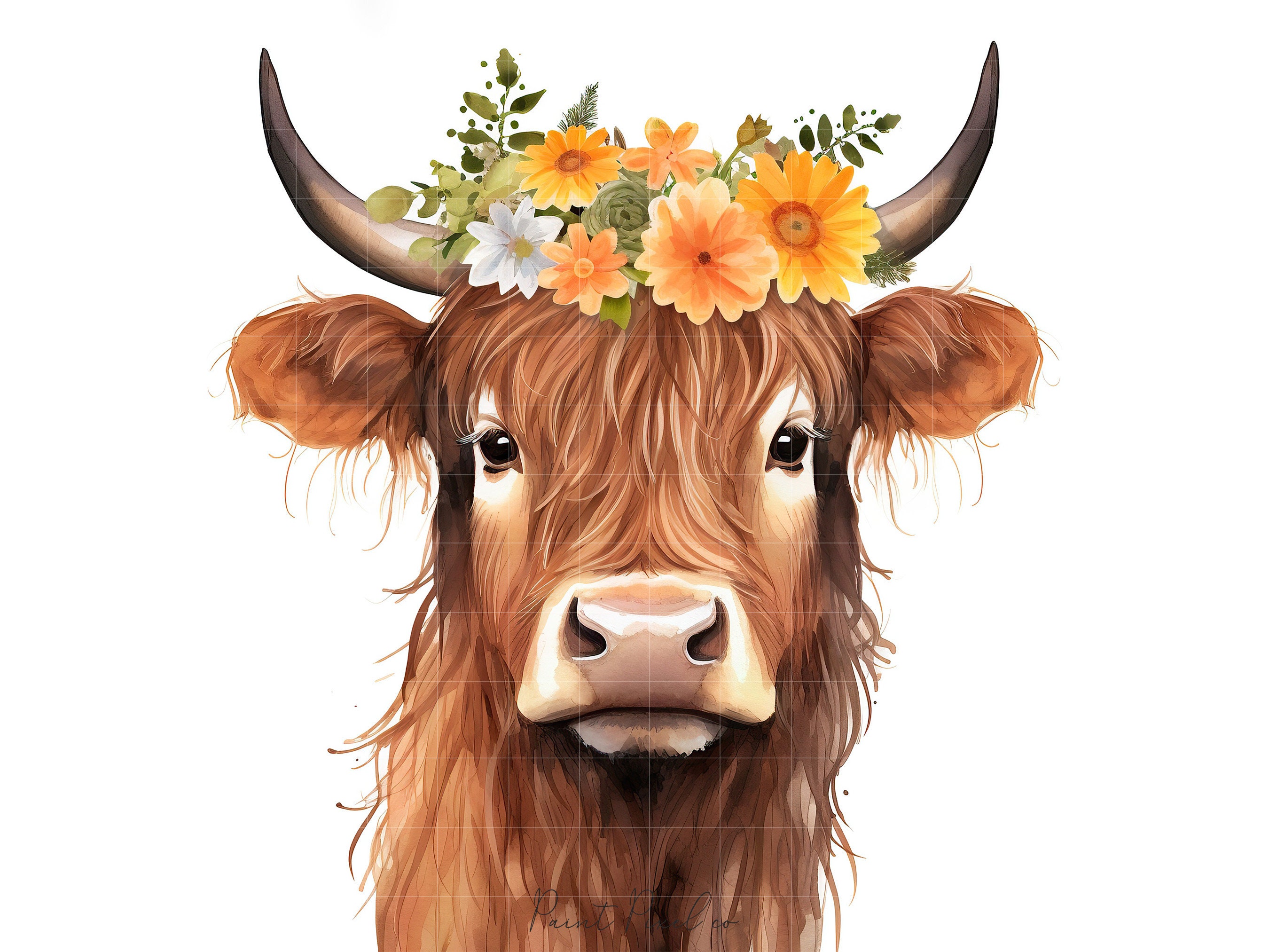 10 Highland Cow With Flowers Clipart High Quality Jpgs Floral Animal ...