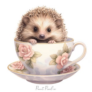 10 Hérisson dans une tasse clipart JPGs de haute qualité Aquarelle Hérisson clip art Sublimation Junk Journal Paper crafting Licence commerciale