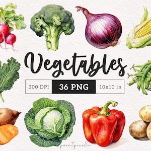 Vegetable Clipart Food PNG Beets Broccoli graphics Carrot illustration Spinach Eggplant Kale Beans Paper Crafting Scrapbook Printable art