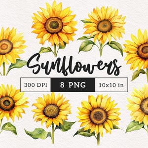 Girassol clipart PNG floral Clip art aquarela girassóis estéticos Verão vintage Arte botânica PNGs Sublimação Journaling Card making