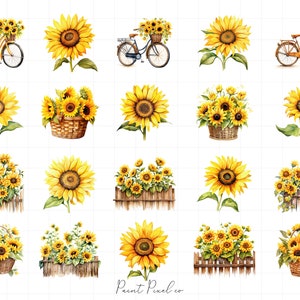 K&ouml;nnte beinhalten: Eine digitale Collage aus Aquarell-Illustrationen mit Sonnenblumen in verschiedenen Arrangements. Einige Sonnenblumen befinden sich in K&ouml;rben, andere in Z&auml;unen und wieder andere auf Fahrr&auml;dern. Die Sonnenblumen sind gelb mit braunen Zentren und gr&uuml;nen Bl&auml;ttern.