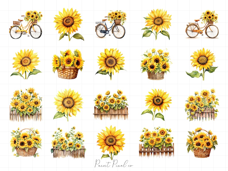 K&ouml;nnte beinhalten: Eine digitale Collage aus Aquarell-Illustrationen mit Sonnenblumen in verschiedenen Arrangements. Einige Sonnenblumen befinden sich in K&ouml;rben, andere in Z&auml;unen und wieder andere auf Fahrr&auml;dern. Die Sonnenblumen sind gelb mit braunen Zentren und gr&uuml;nen Bl&auml;ttern.