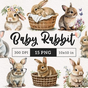 Woodland animals PNG Watercolor Baby Rabbit clipart Cute Baby shower clipart Sublimation Kids party decor Nursery Art sticker commercial use