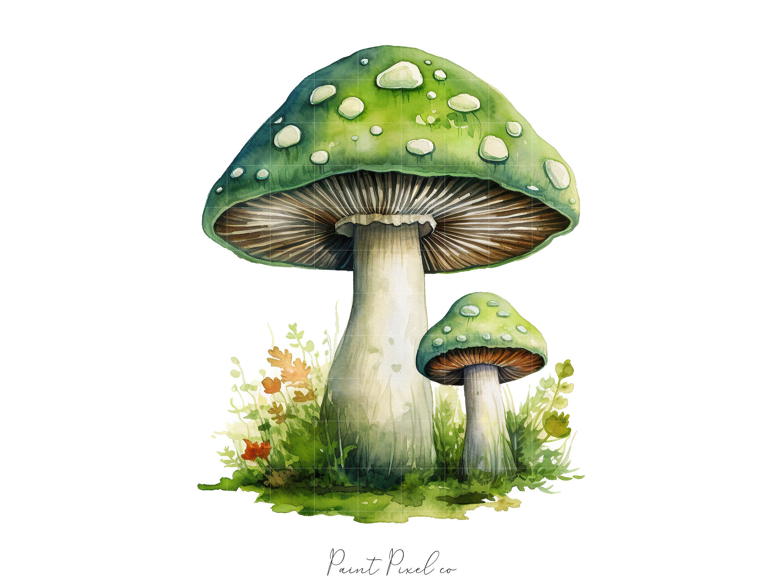 キノコのクリップアート 高品質のJPG 虹色のキノコ ファンタジー 毒