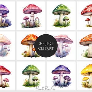Clipart champignon haute qualité JPG Champignons arc-en-ciel Fantasy Toadstool clipart Sublimation Junk Journal artisanat en papier Licence commerciale