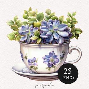 Piante in tazza da tè Clipart Acquerello Carino Succulento PNG amante delle piante illustrazione Planner immagini cottagecore Scrapbook Digitale Uso commerciale
