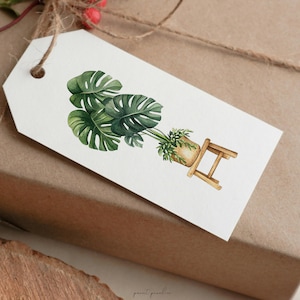 May include: A white gift tag with a watercolor illustration of a potted monstera plant on a small wooden stool. The plant has large, green leaves and is in a brown pot.