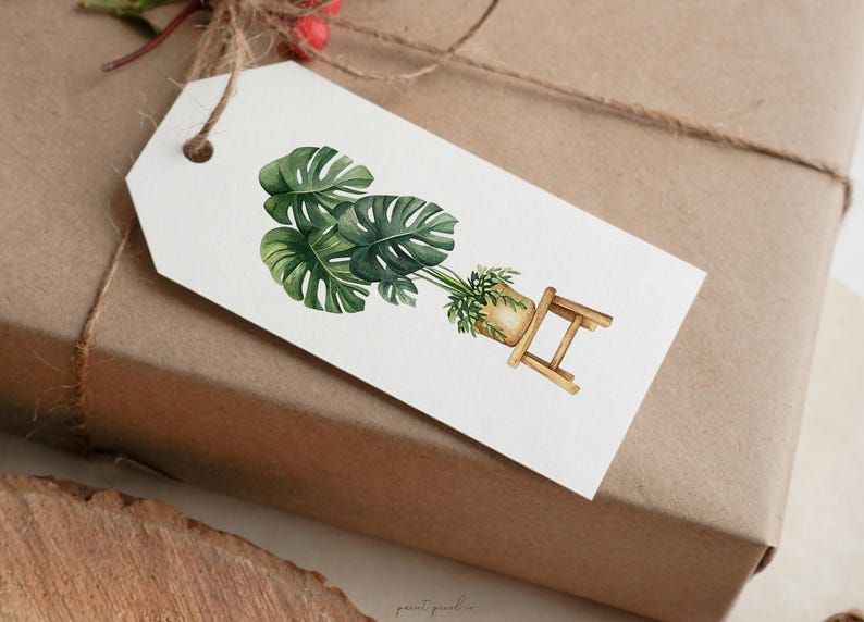 May include: A white gift tag with a watercolor illustration of a potted monstera plant on a small wooden stool. The plant has large, green leaves and is in a brown pot.
