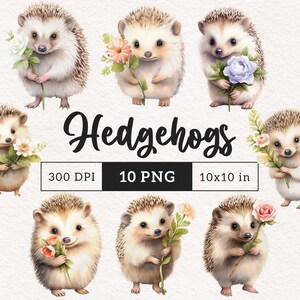 Hérisson floral PNG clipart doux petit animal Clip art chambre d'enfant fleur graphiques adorables des bois PNGs Sublimation Carterie Journal