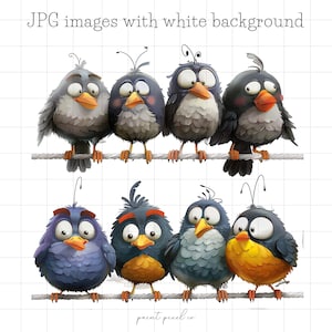 55 Uccelli divertenti Clipart JPG Illustrazioni stravaganti Uccelli stravaganti su filo sfondo bianco creazione di biglietti Artigianato con tecniche miste JPG uso commerciale
