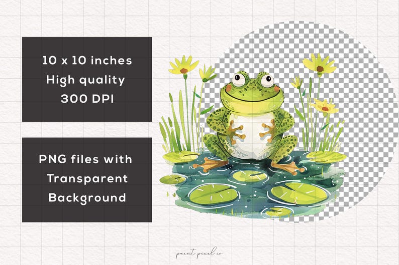 May include: A green frog with a white belly sits on lily pads in a pond. The frog has a wide smile and is surrounded by green lily pads and yellow flowers.