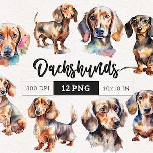 Dachshund Dog Clipart PNG Watercolor dogs clipart Puppy PNG Pet Clipart Dash Sublimation card making scrapbook craft gift commercial use