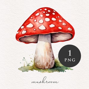 Clipart champignon PNG aquarelle champignons rouges forêt magique fantastique champignon vénéneux illustration graphiques transfert par sublimation PNGs conte de fées