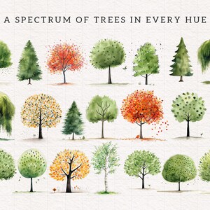 Peut inclure: Une illustration aquarelle d'un spectre d'arbres dans toutes les teintes. Les arbres sont peints dans diff&eacute;rentes nuances de vert, jaune, orange et rouge. L'illustration est intitul&eacute;e "Un spectre d'arbres dans toutes les teintes".