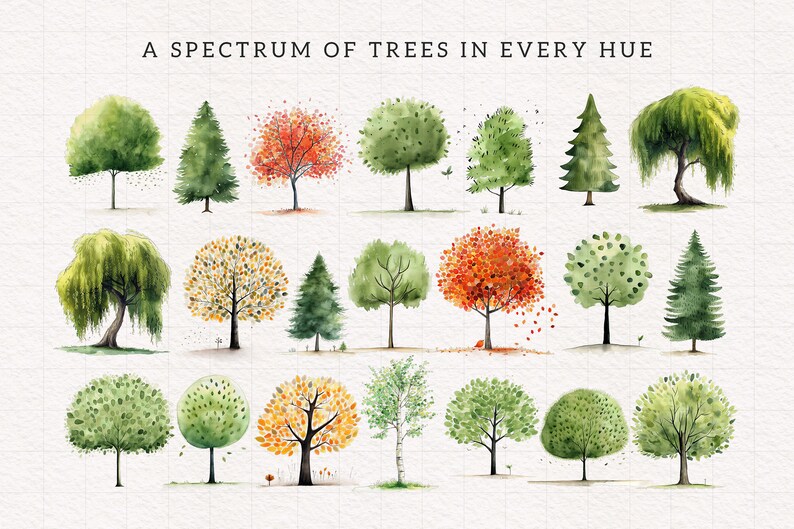 Peut inclure: Une illustration aquarelle d'un spectre d'arbres dans toutes les teintes. Les arbres sont peints dans diff&eacute;rentes nuances de vert, jaune, orange et rouge. L'illustration est intitul&eacute;e "Un spectre d'arbres dans toutes les teintes".