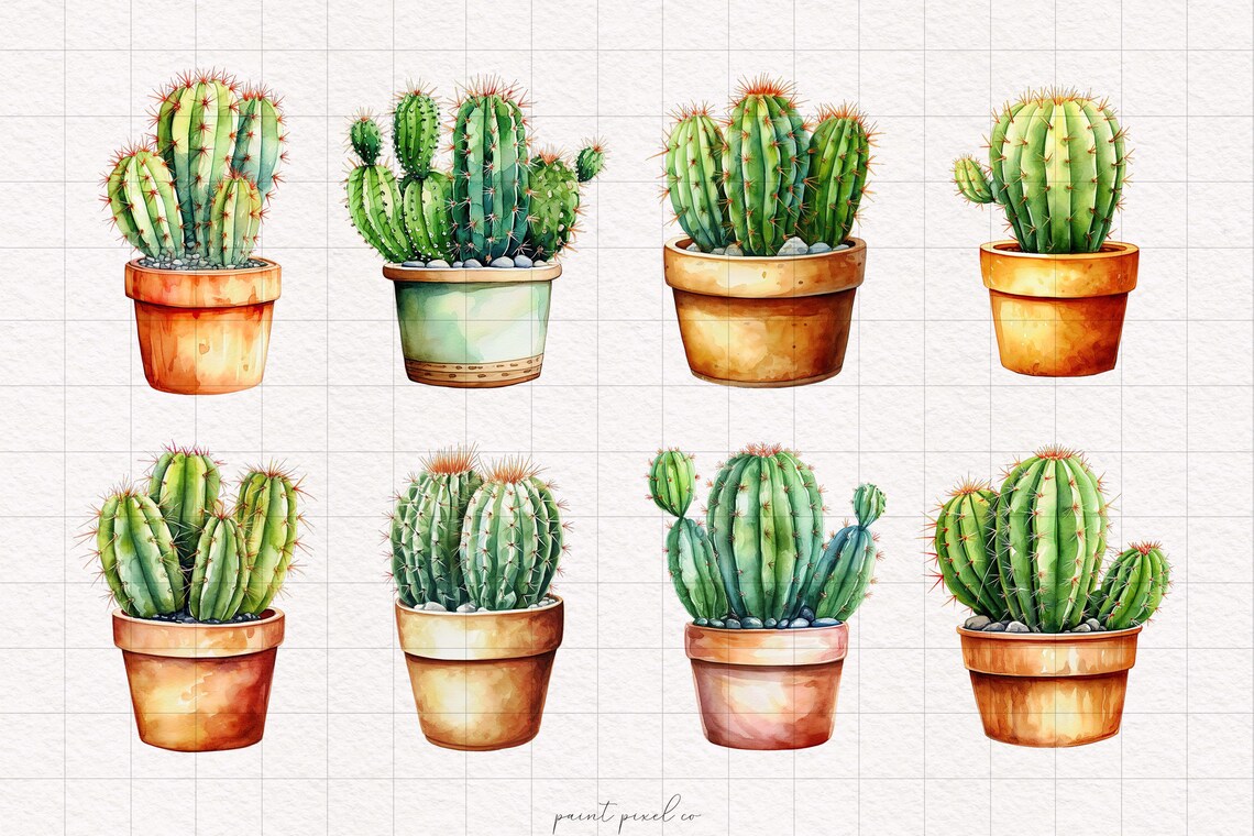 Cactus Plants PNG Watercolor Potted Cactus Cute Clipart Desert Plant ...