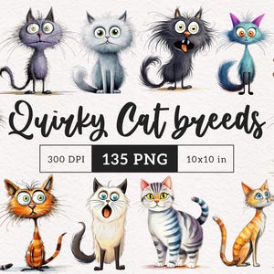 Skurrile Katzenrassen Clipart Skurrile Kätzchen Rassen Sublimation Clip Art süße Katzen Whimsy Grafiken Lustige Illustrationen Katzenliebhaber Geschenk Feline
