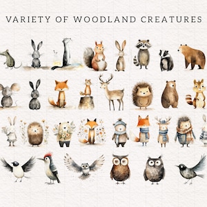 Peut inclure: Une illustration aquarelle repr&eacute;sentant une vari&eacute;t&eacute; de cr&eacute;atures de la for&ecirc;t, notamment des &eacute;cureuils, des lapins, des renards, des hiboux, des cerfs et bien plus encore. Les animaux sont repr&eacute;sent&eacute;s dans un style fantaisiste avec des couleurs vives et des expressions amusantes.